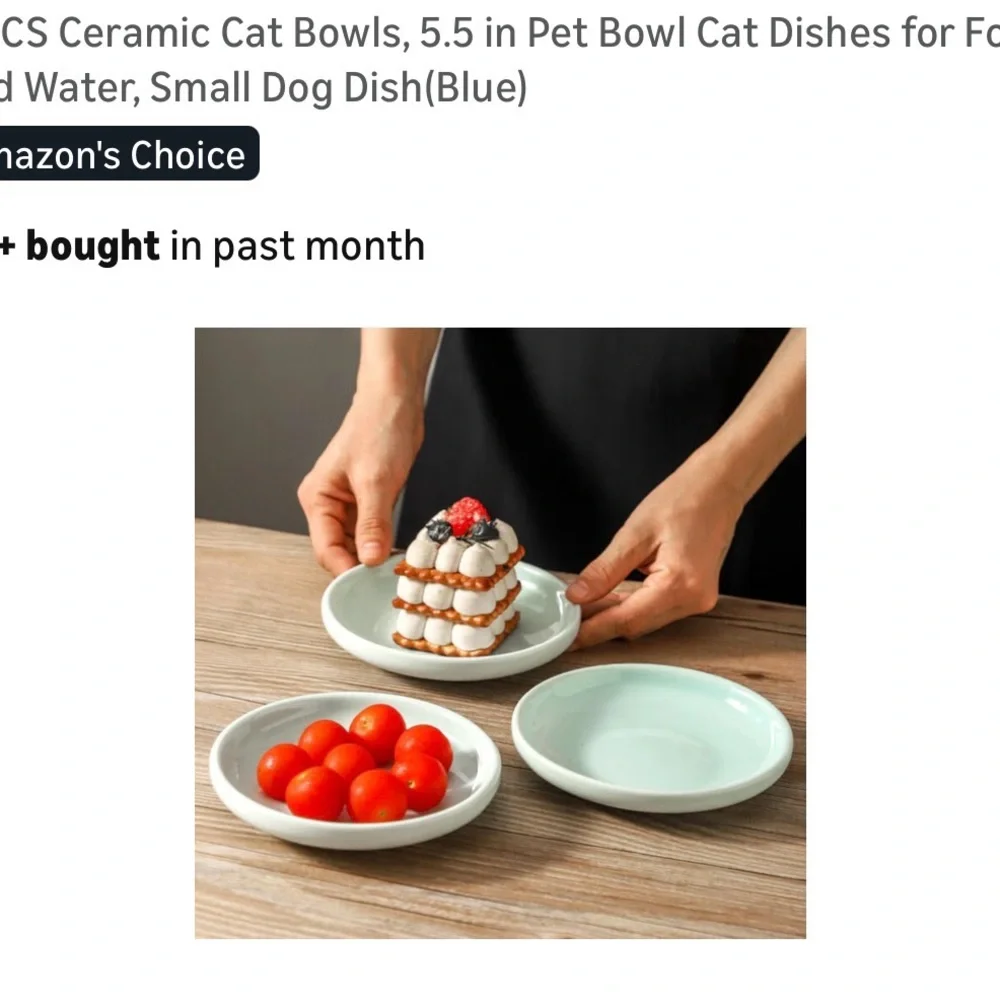 New in box - set of three ceramic serving bowls for cats - or people!